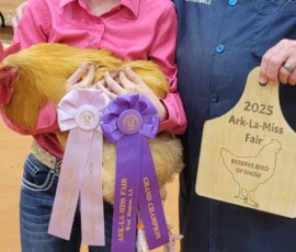 2025 Photo Contest Runner Ups