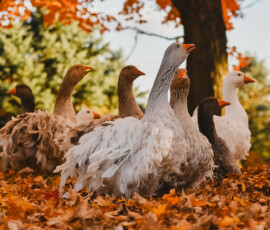 2025 Photo Contest Runner Ups